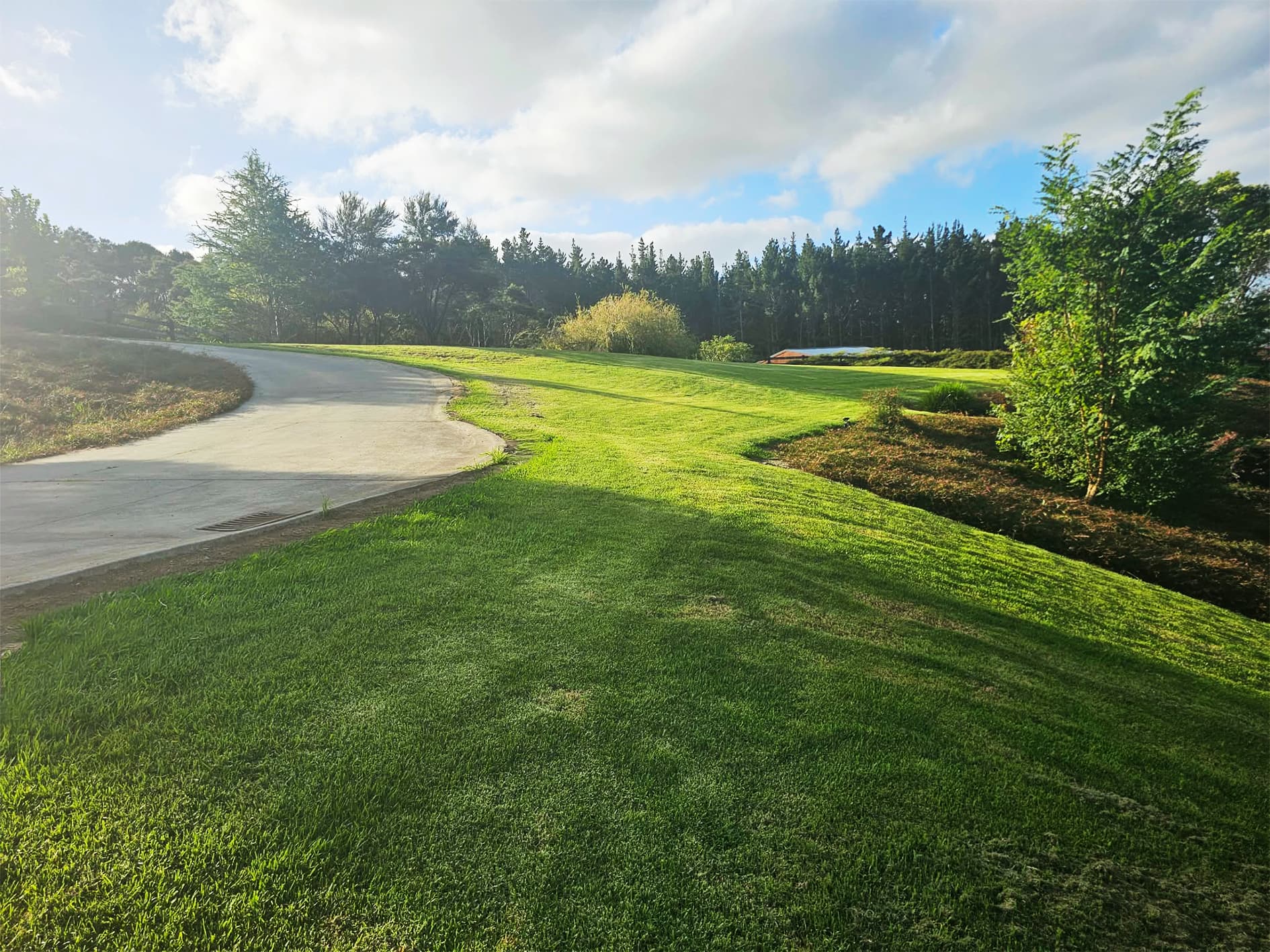 The sealed driveway winding up to the house