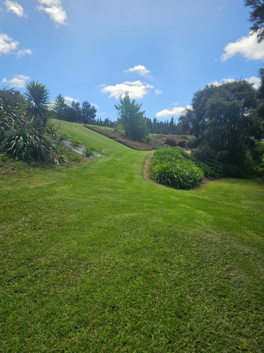 Rolling lawn rising through the valley