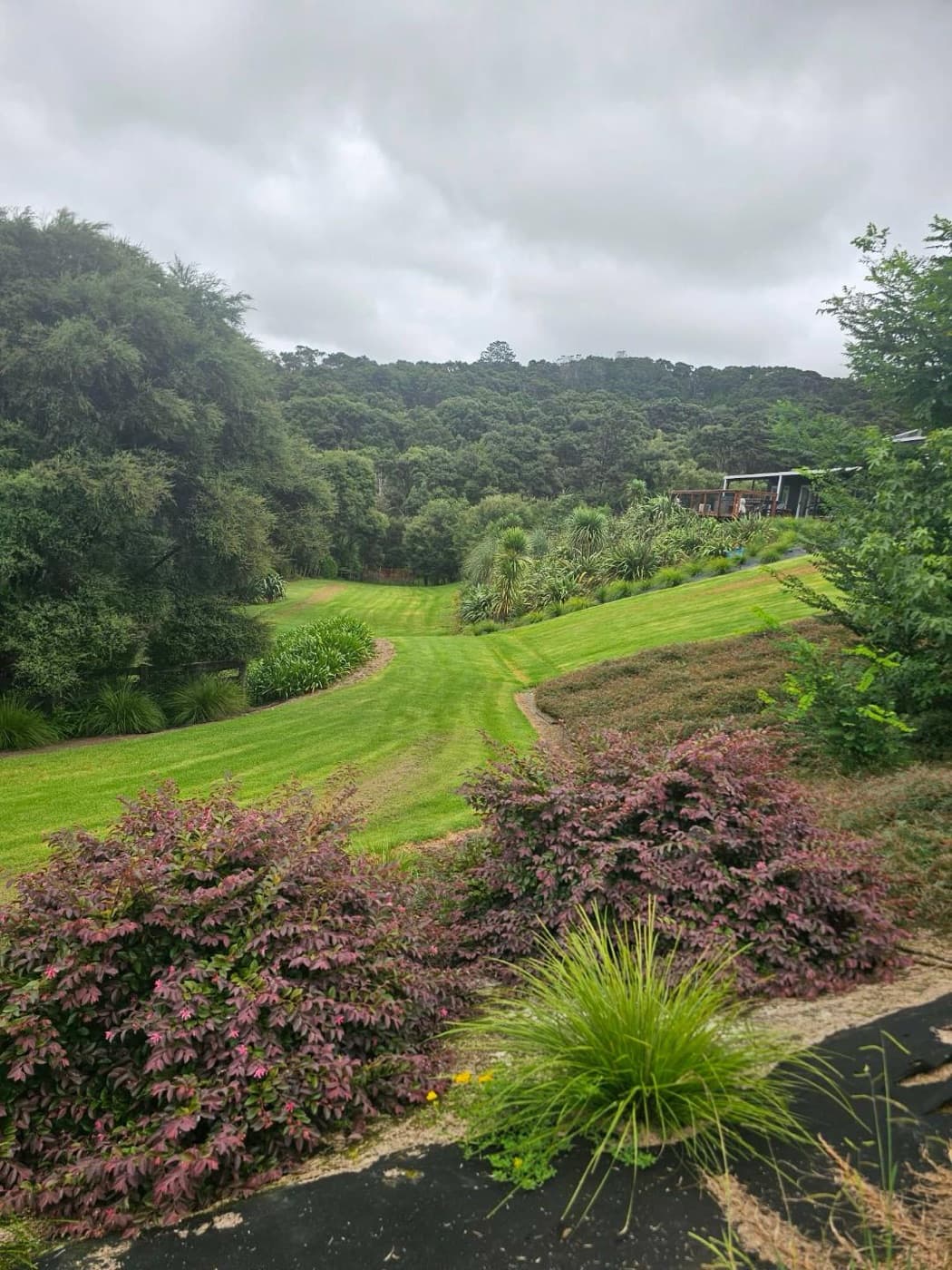 The grounds framed by native bush and planting